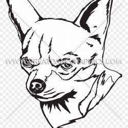 250x250 Drawing A Chihuahua Adorable Easy Dog Carmi Chaelinn