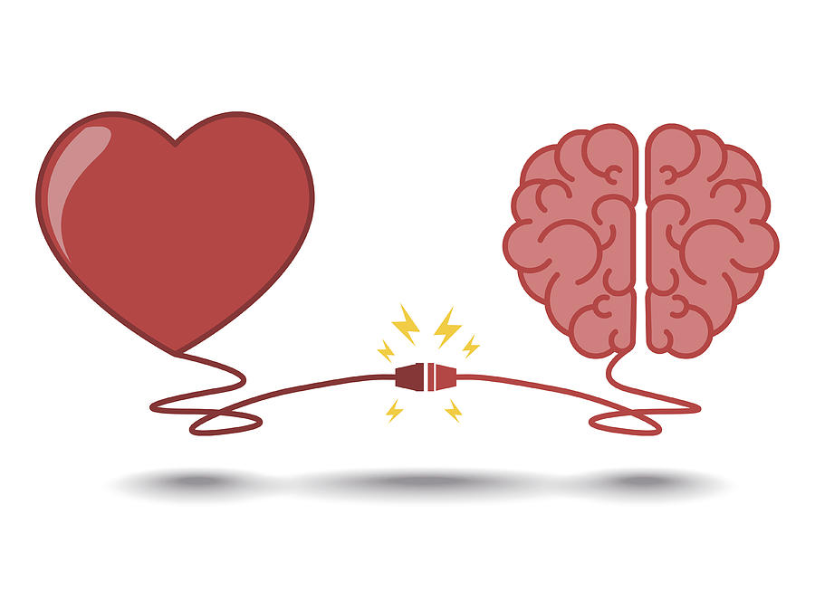 900x674 Brain And Heart Interactions Concept Best Teamwork