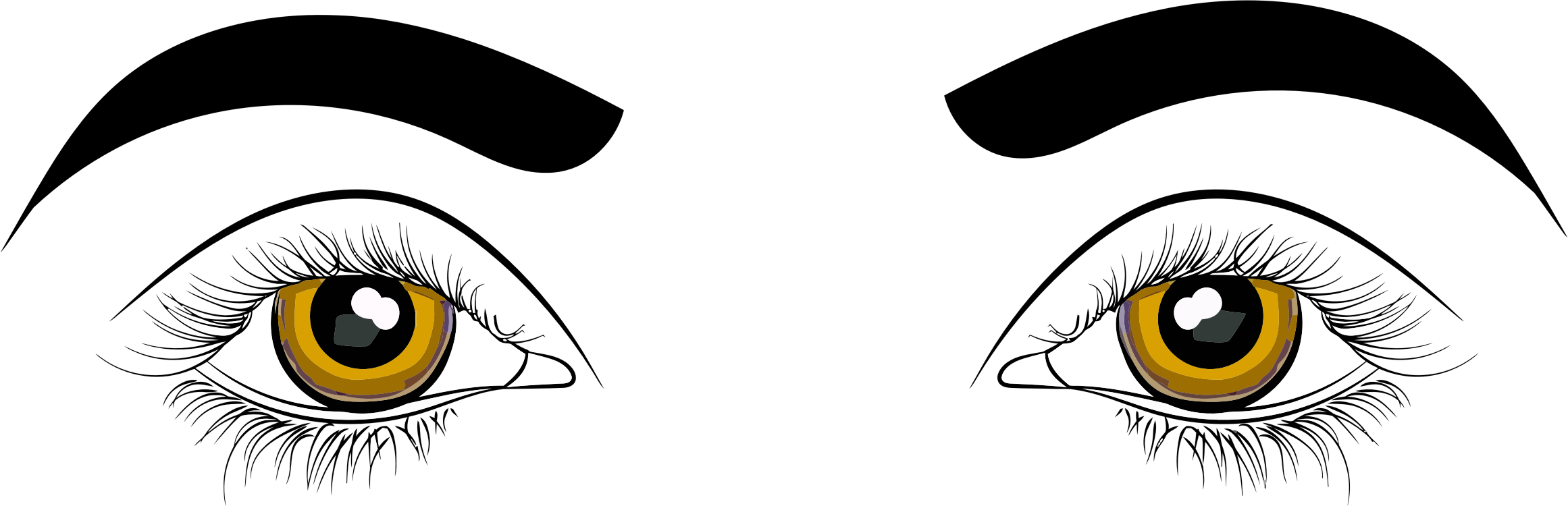 2322x750 human eye drawing clip art for liturgical year cartoon cc0