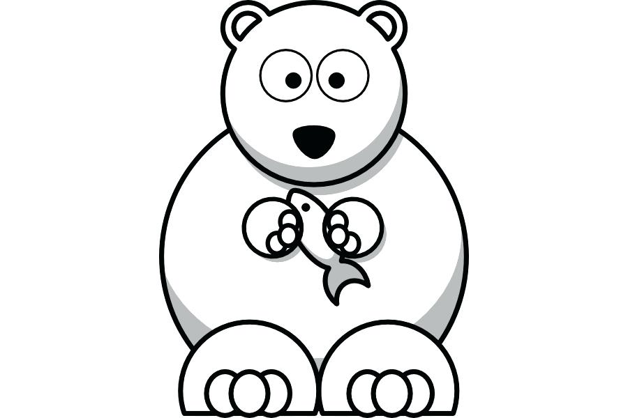 900x600 How To Draw A Bear Drawings Outline Of Central Polar Cute