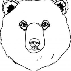250x250 Teddy Bear Face Drawing Outline Mask Polar I Fertility