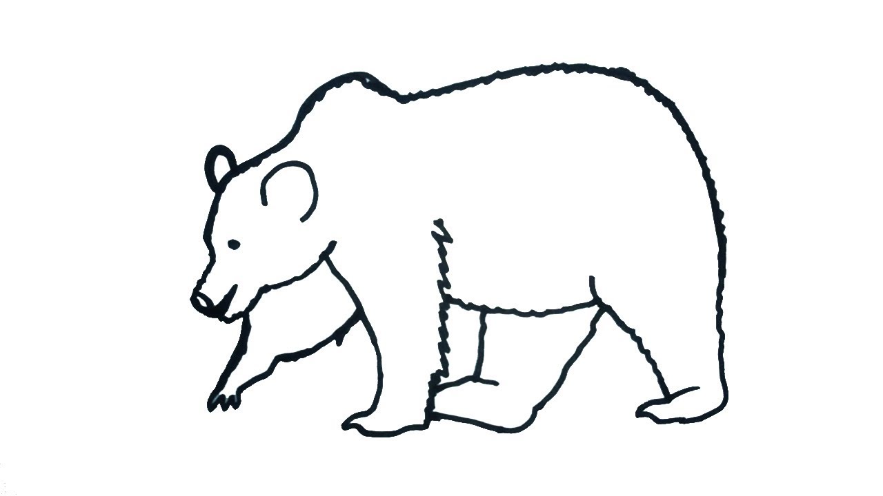 1280x720 Easy Bear Drawing Of Youtube Pencil Coloring