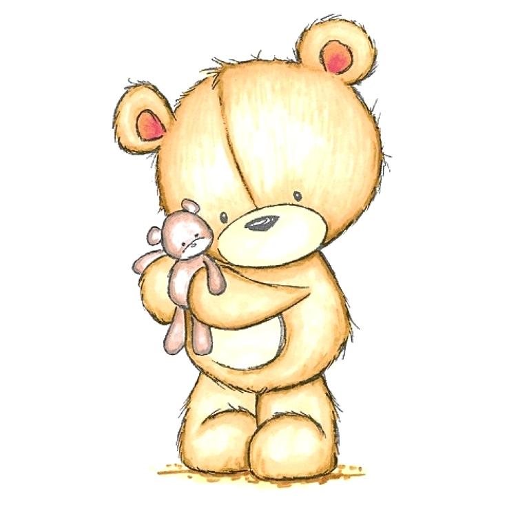 736x736 Cute Bears To Draw