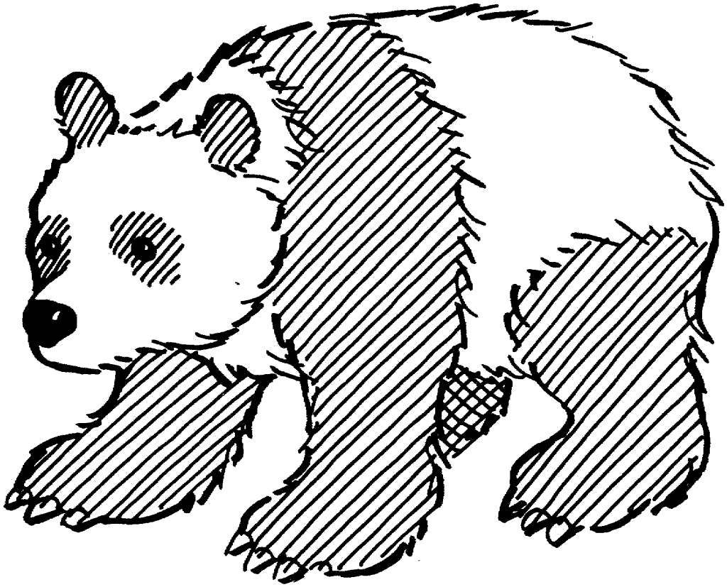 1024x827 Panda Bear Coloring Pages Line Drawing