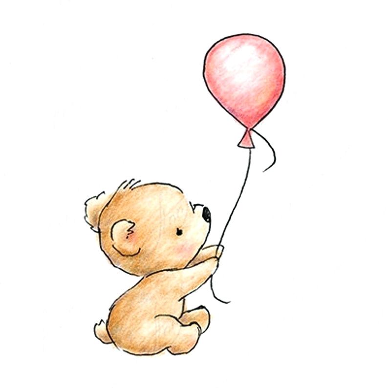 794x794 Teddy Drawing Image Teddy Drawing Pictures