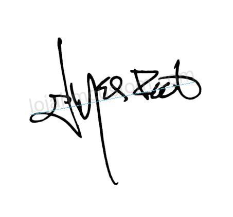 453x423 Jim Root Fender Telecaster Signature Logo Decal