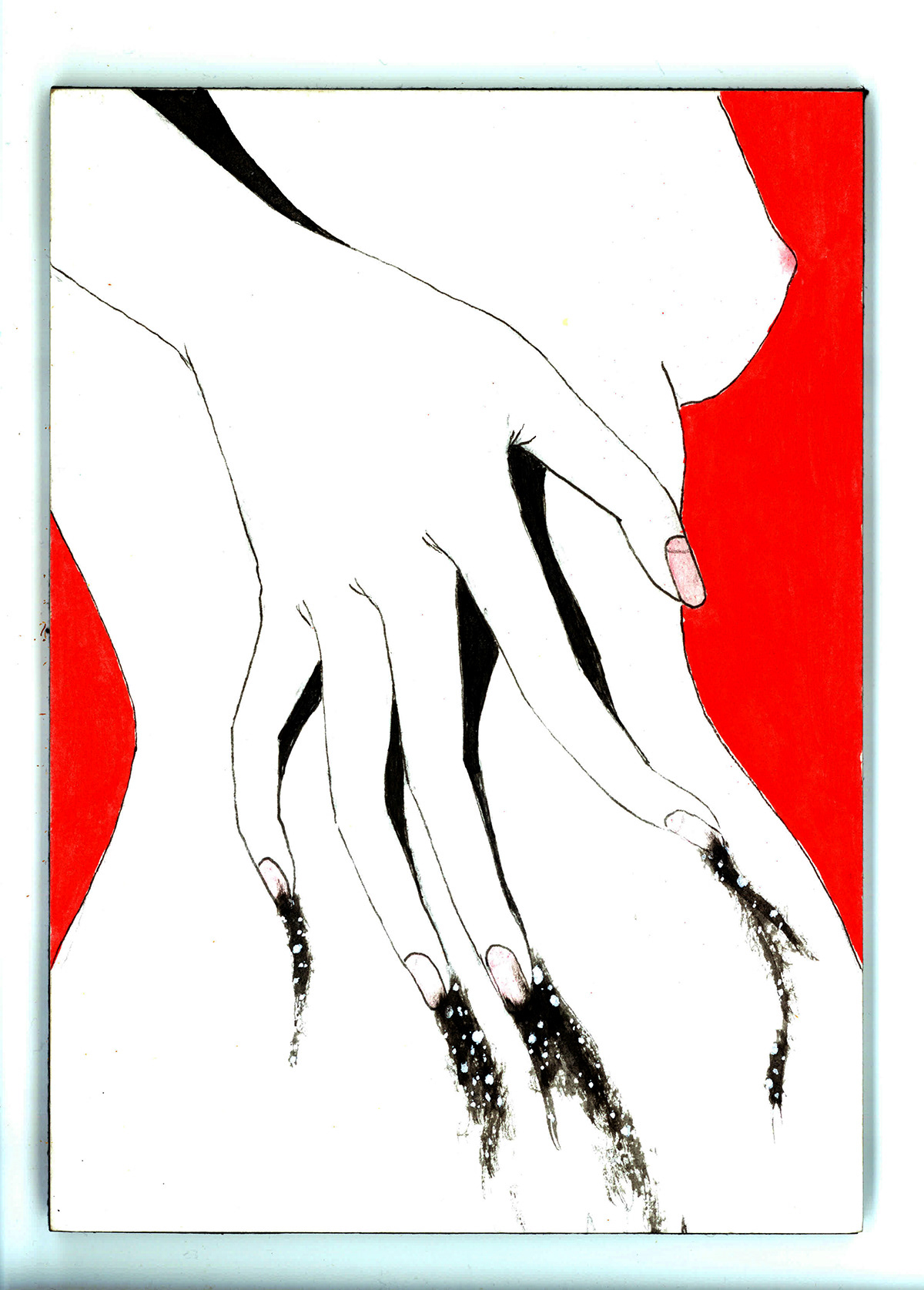 1200x1675 Noumeda Carbone