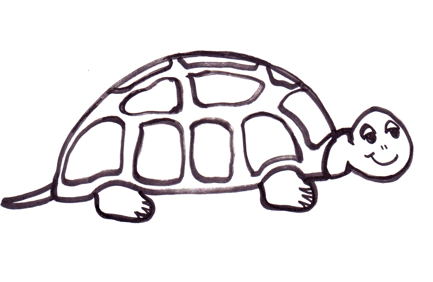 1643x1072 Tortoise Hare Teach Tempo More!