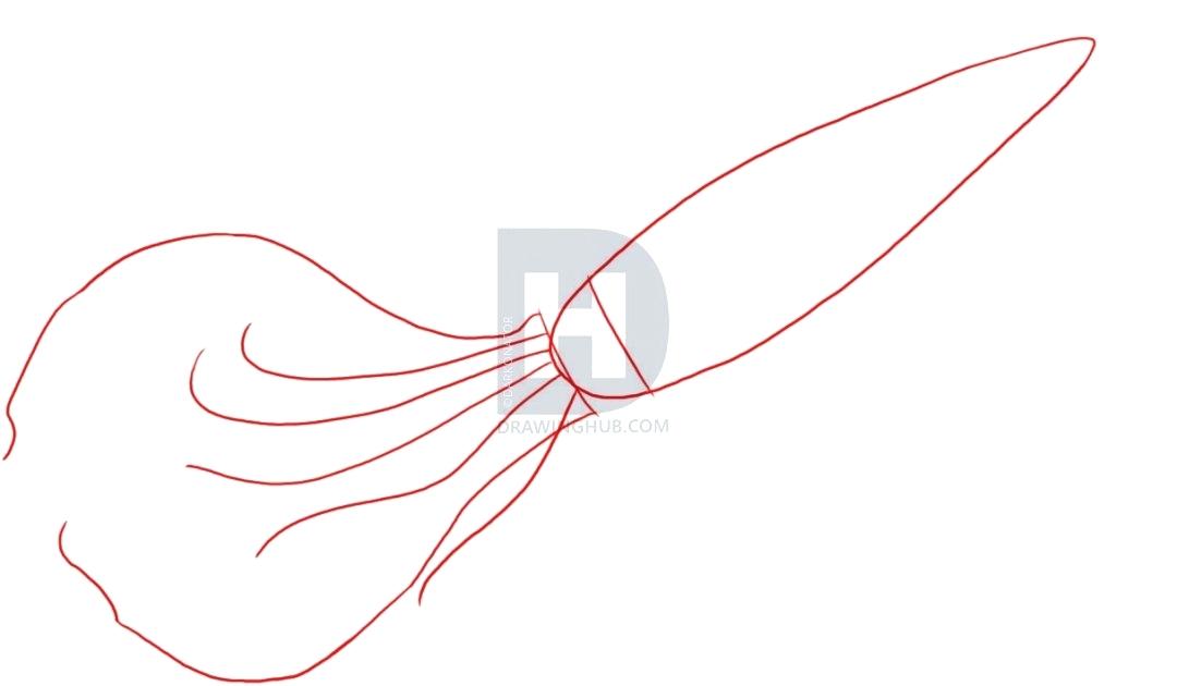 1080x630 Drawing Of Squid