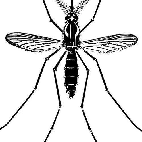 500x500 termite pest control nj