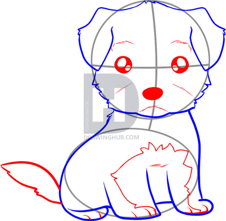 738x720 How To Draw A Terrier, Step