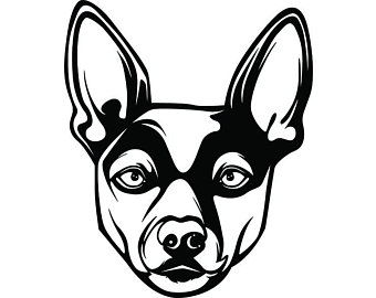 340x270 Rat Terrier Drawing Etsy