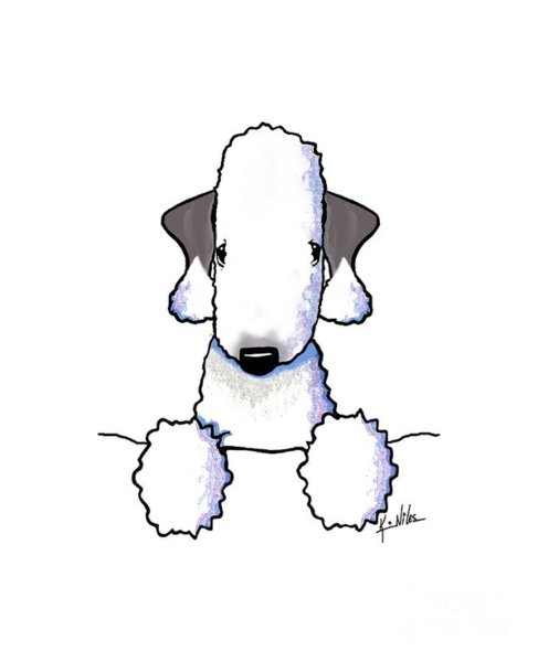 487x600 Terrier Drawings Fine Art America