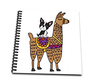 355x323 Funny Cool Boston Terrier Dog Riding Llama