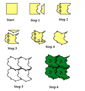 279x300 tessellations math engaged