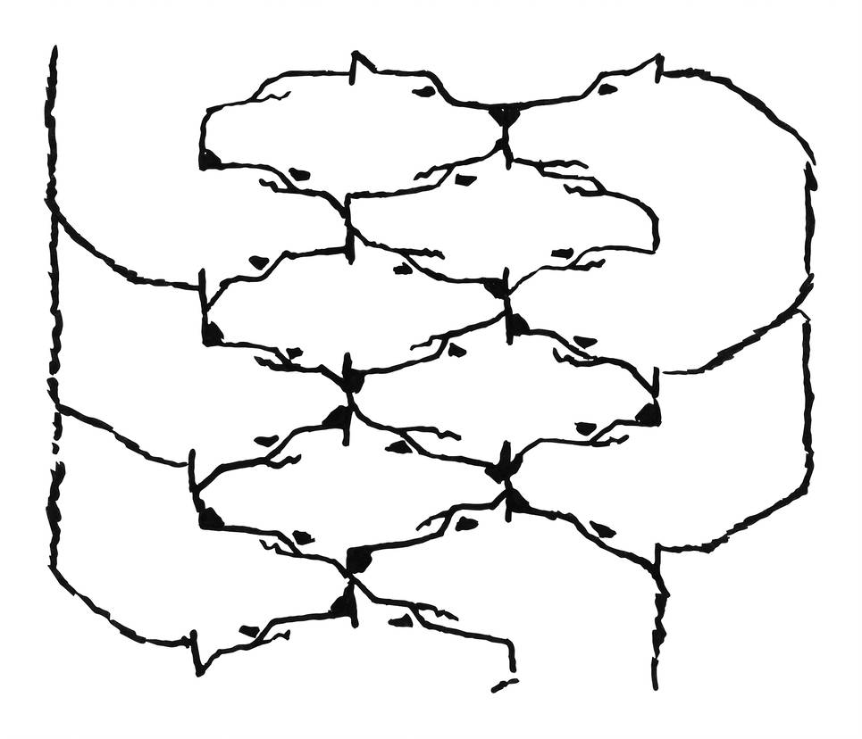 965x828 wolf tessellation