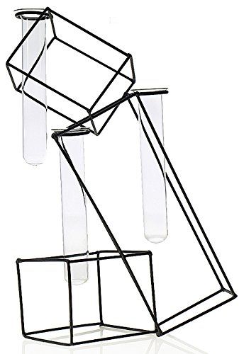 344x500 Geometric Trapezoid Wire Test Tube Vase Tubes Wedding