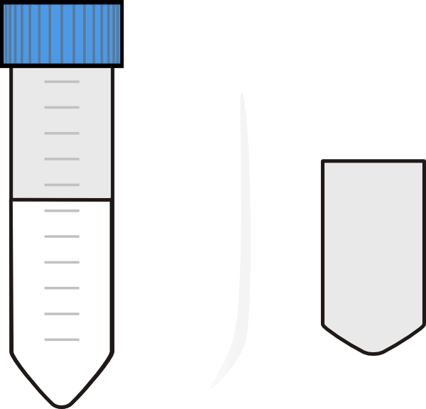 600x576 Tube Diagram Transparent Png Clipart Free Download