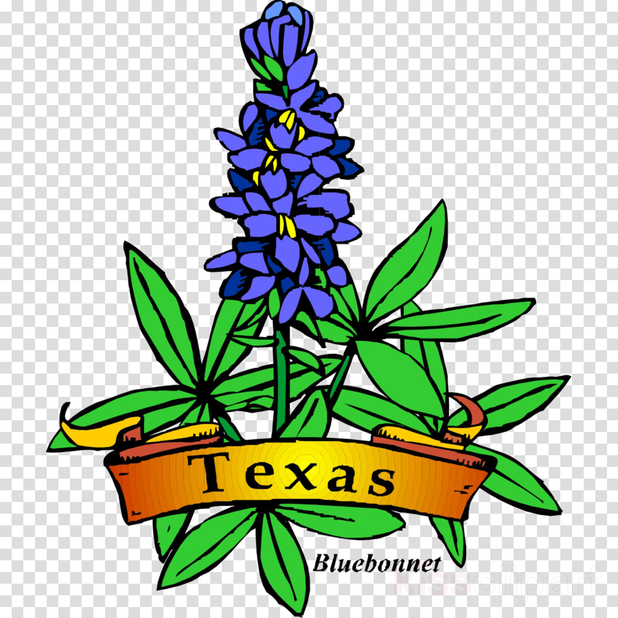 900x900 Flower, Leaf, Tree, Transparent Png Image Clipart Free Download