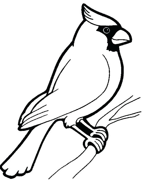 579x725 Cardinal Drawing Bird Texas For Free Download