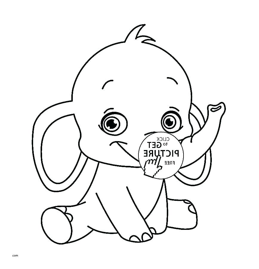 868x900 Kids Animal Drawing