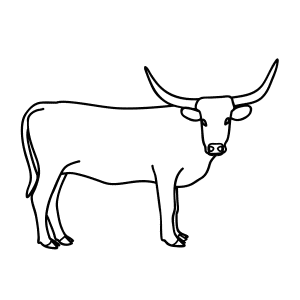 300x300 Learn How To Draw Animals Step
