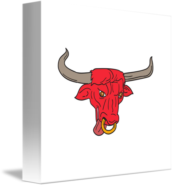 606x650 Texas Longhorn Red Bull Drawing