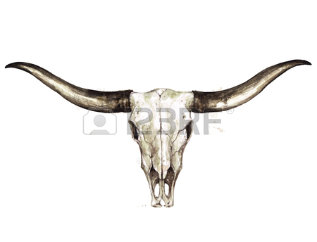 450x344 Huge Collection Of 'longhorn Skull Drawing' Download More Than
