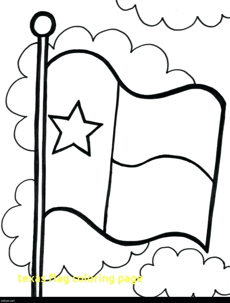 747x983 Texas Coloring State Map Coloring