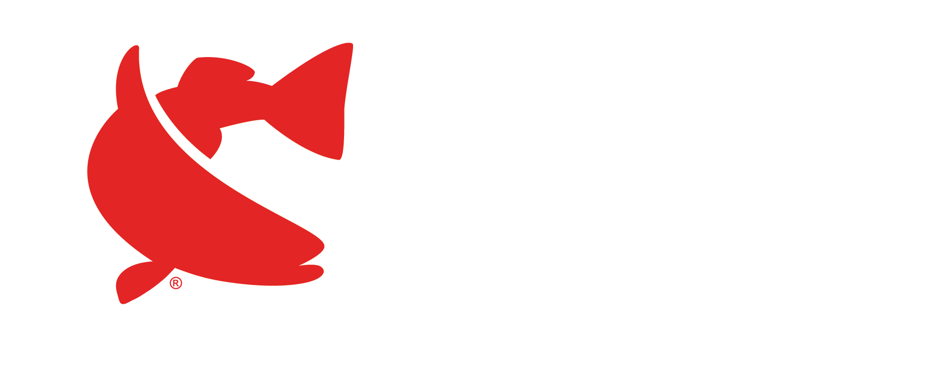 1861x777 Houston Drawing Star Transparent Png Clipart Free Download