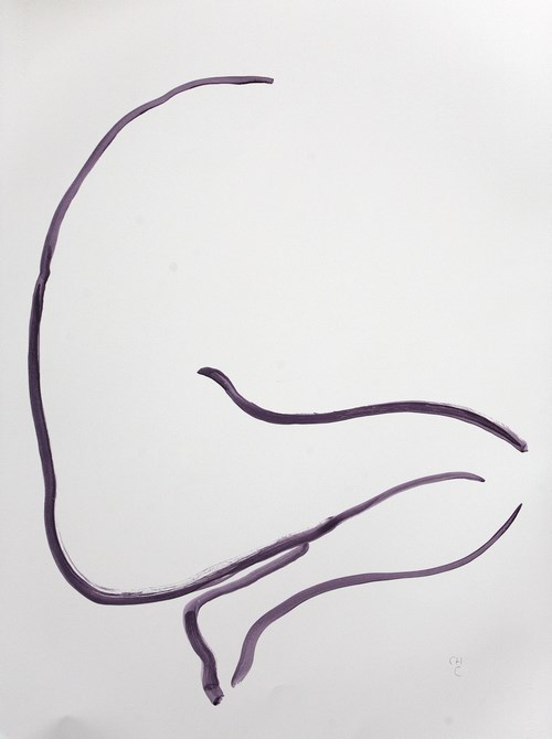 500x670 Drawings Charlotte Culot