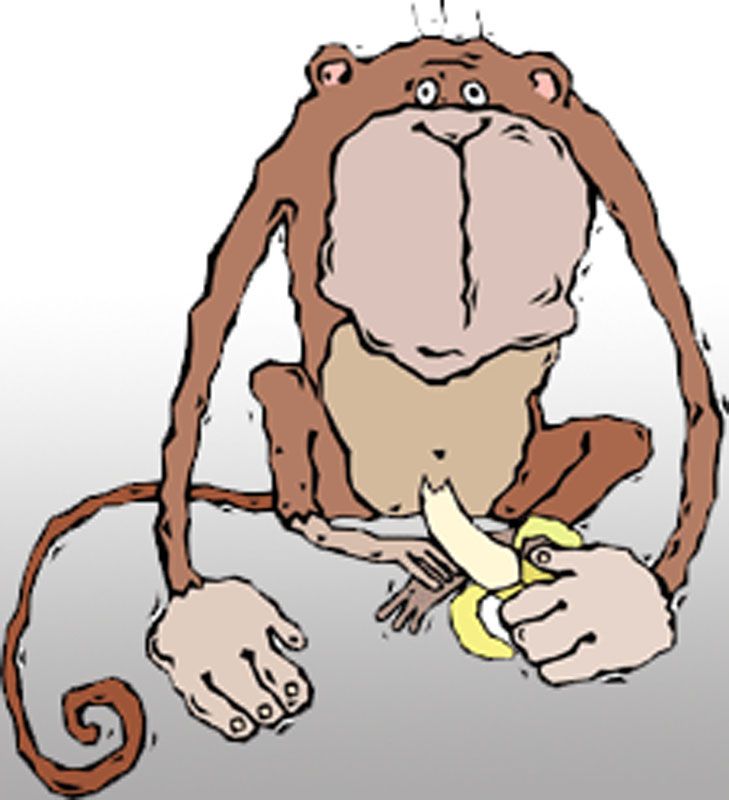 729x800 Funny Drawings Examples Of Genius Textbook Vandalism Bored