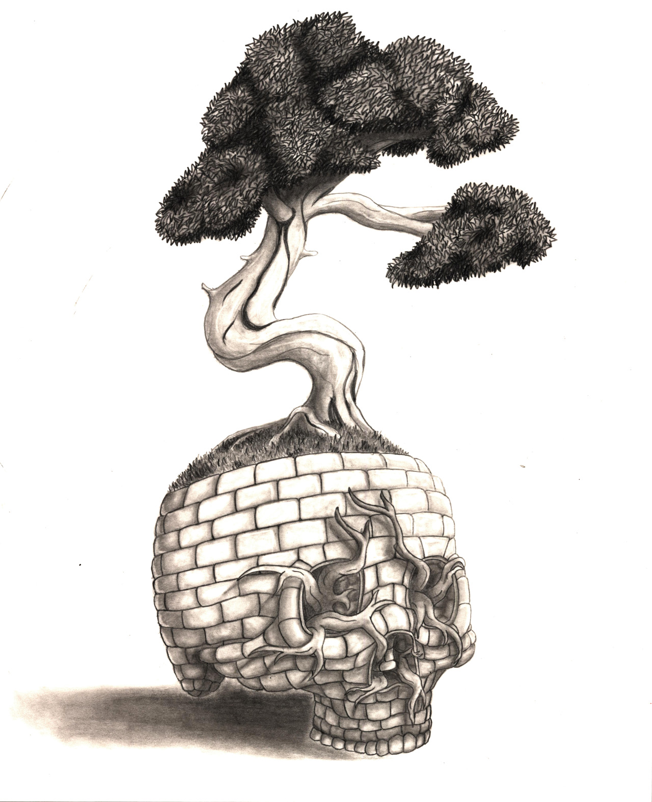 1280x1576 art of full sail this texture drawing of a bonsai tree emerging