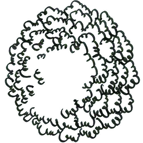 500x500 Drawing Vegetation Hand Drawn Texture Trees In Plan Archilibs