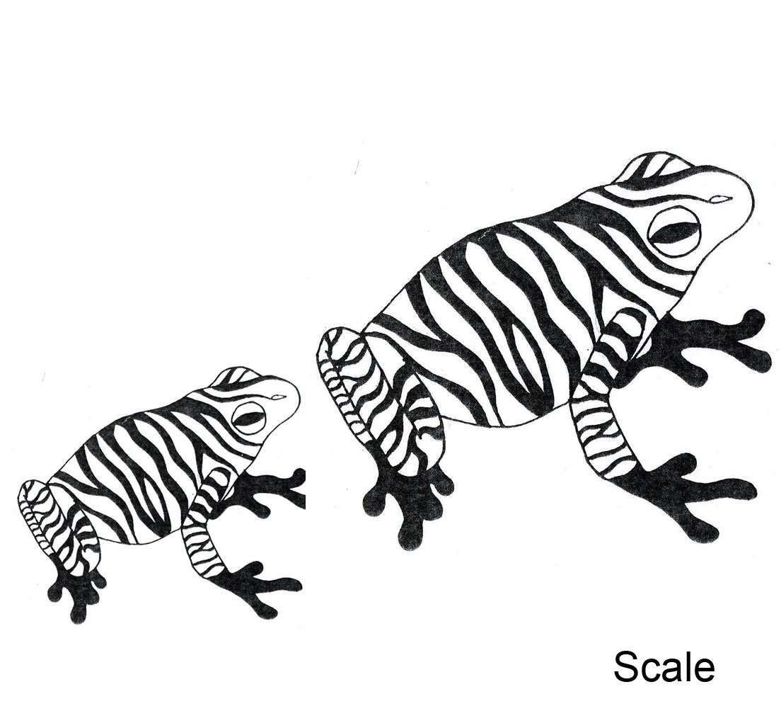 1104x1004 Element Texture Drawing Art Examples