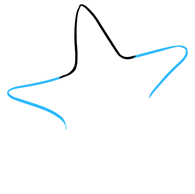 680x678 Drawing Starfish Texture Transparent Png Clipart Free Download