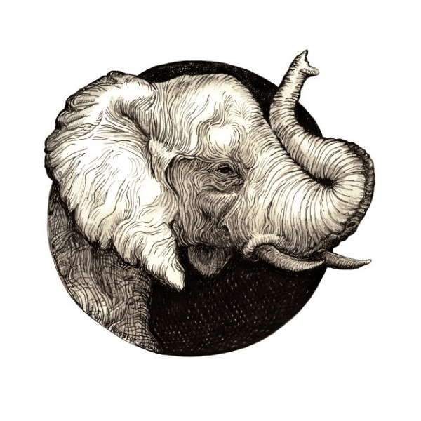 600x600 Drawings Of Elephants With Trunk Up