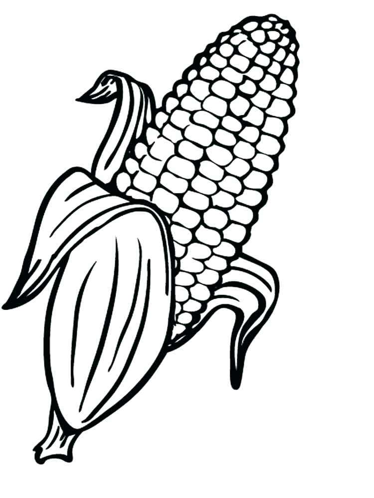 750x1000 Corn Coloring Pages