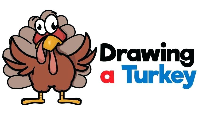 847x502 How To Draw A Cute Turkey How To Draw A Cute Turkey Easy Draw So
