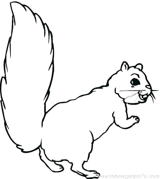 550x614 Coloring Pictures For Thanksgiving Printables Does Free Kid