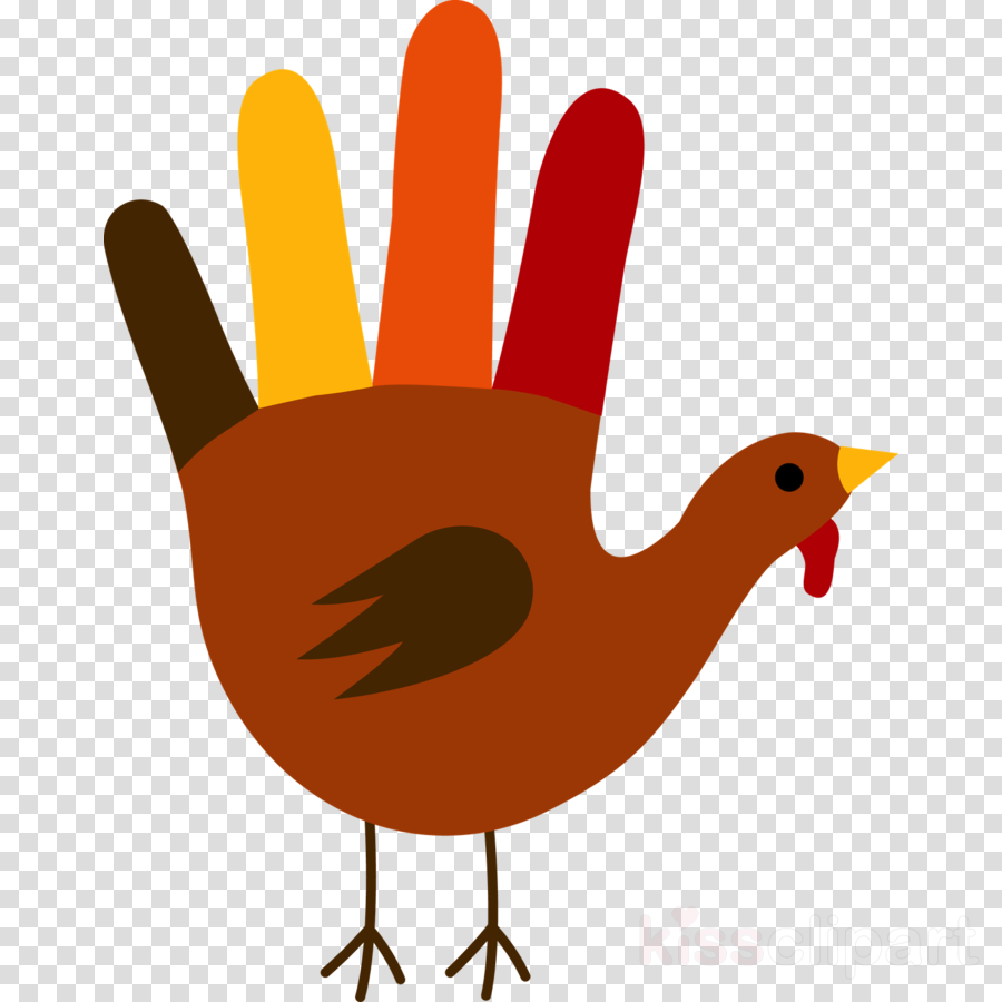 900x900 Thanksgiving, Drawing, Chicken, Transparent Png Image Clipart