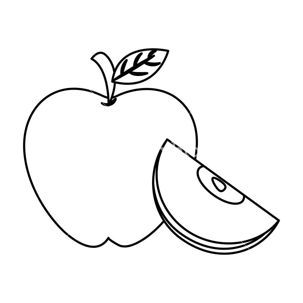 1000x1000 Thanksgiving Day Apple Drawing In White Background Vector