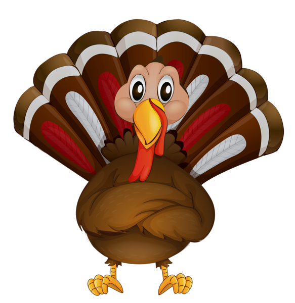 583x600 Drawing Turkey Thanksgiving Transparent Png Clipart Free