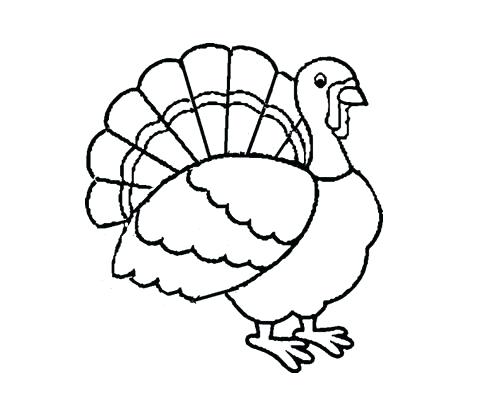 500x416 Easy Thanksgiving Drawings Coloring Pages Extraordinary Turkey