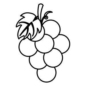 300x300 Thanksgiving Day Fruit Grapes Drawing In White Background Vector