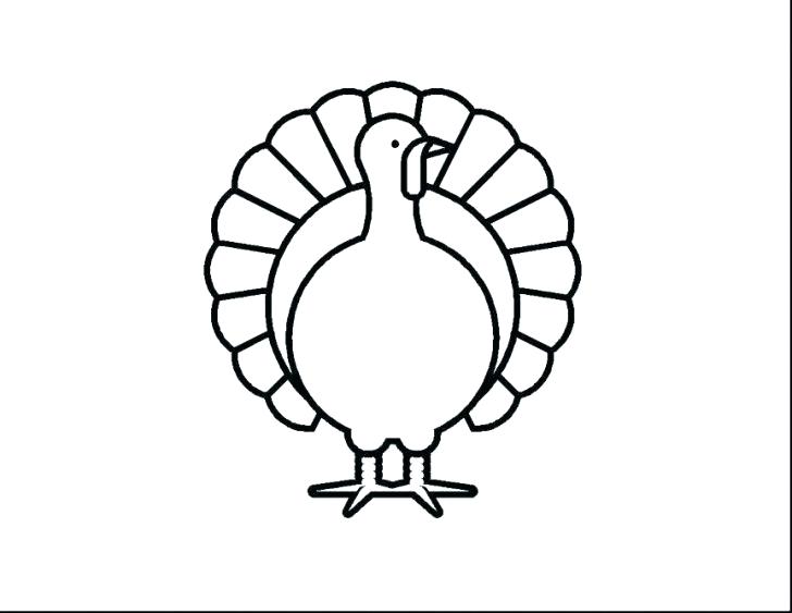 728x563 Drawing Of Turkey Cartoon