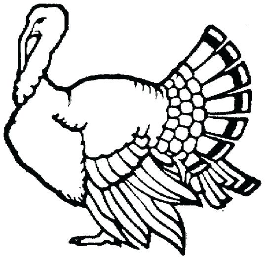537x525 Easy Draw Turkey