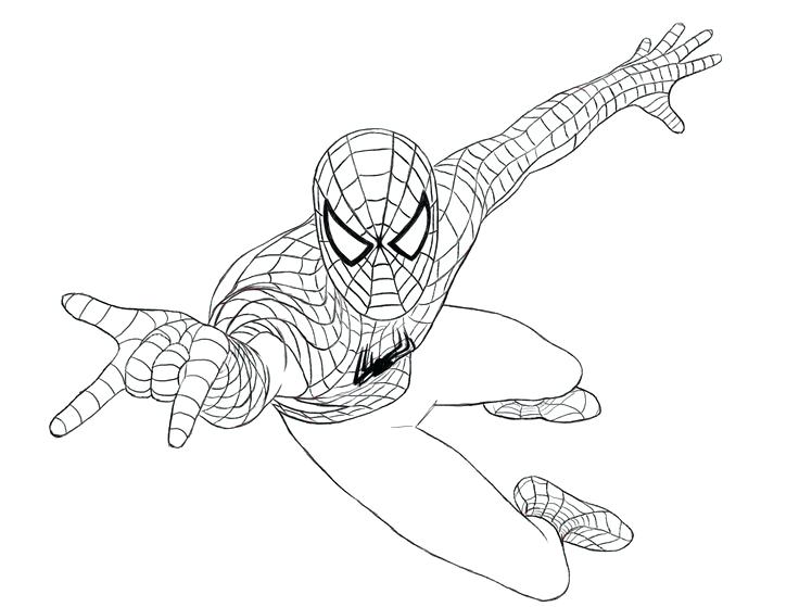 736x559 Drawing Spiderman Rahulsarkar
