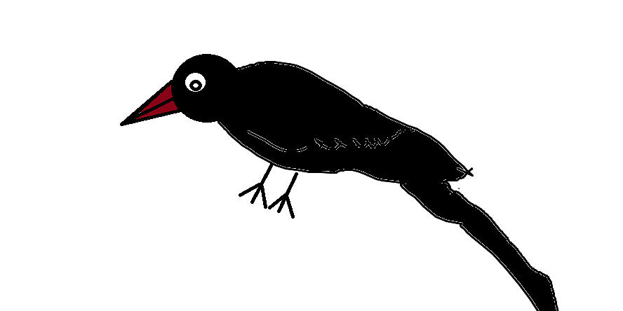 888x444 Crow Drawing