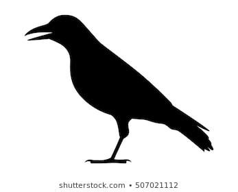 347x280 Crow Raven Jackdaw Corvus Bird At Crow Clipart
